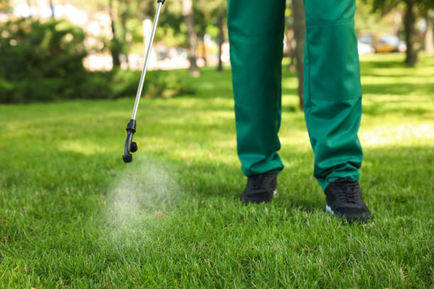 Best Commercial Pest Control Services  in Pine Castle, FL