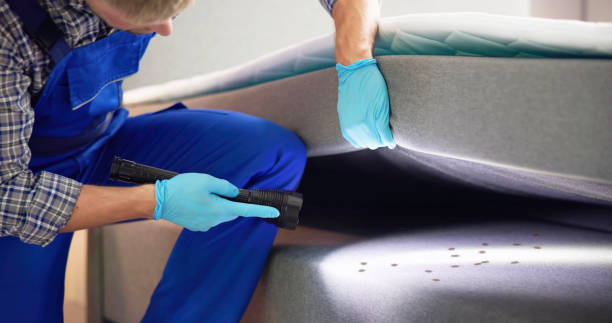 Best Affordable Pest Control Services  in Pine Castle, FL